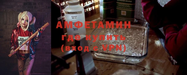 шишки Арсеньев