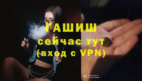 шишки Арсеньев