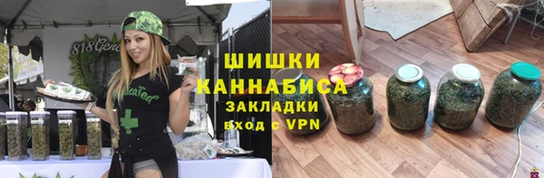 шишки Арсеньев