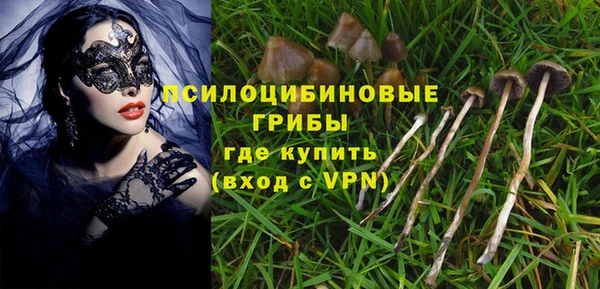 амф Аркадак