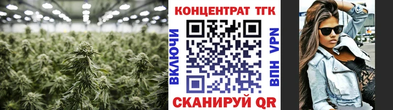 МЕГА ONION  купить наркотики сайты  Кадников  ТГК жижа 
