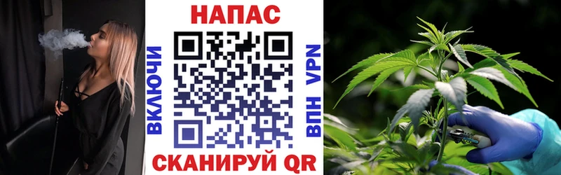 Бошки Шишки SATIVA & INDICA Кадников